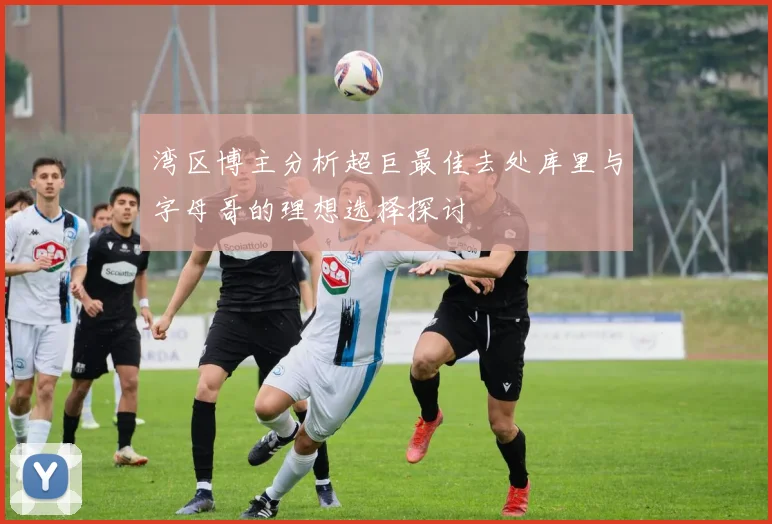 湾区博主分析超巨最佳去处库里与字母哥的理想选择探讨