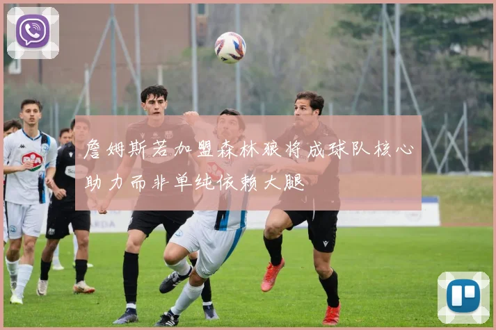 詹姆斯若加盟森林狼将成球队核心助力而非单纯依赖大腿